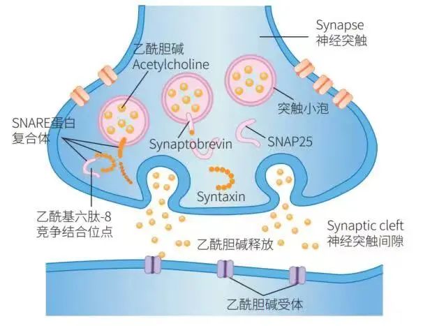 微信圖片_20220323102911.jpg