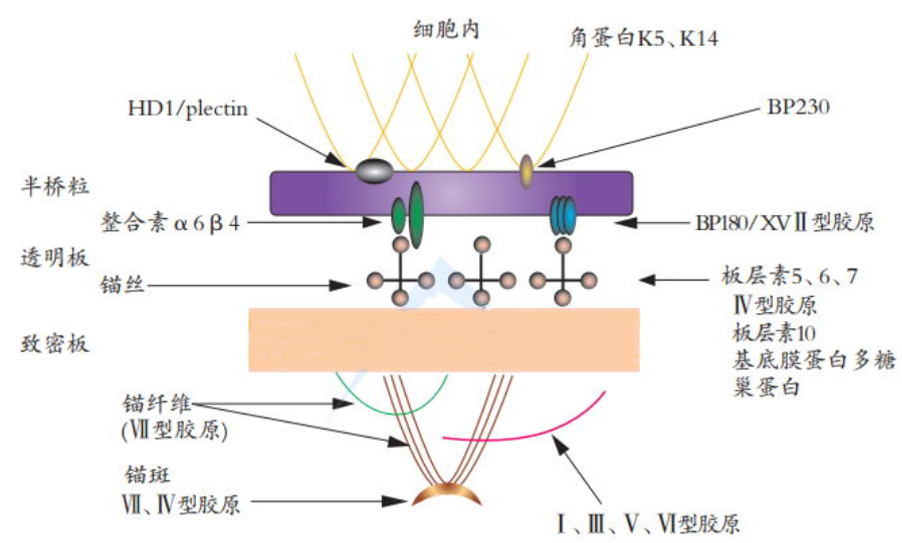 微信圖片_20220801155513.png