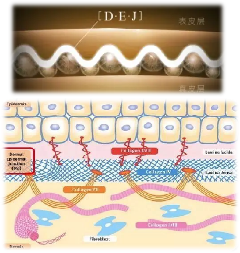 微信圖片_20221014161218.png