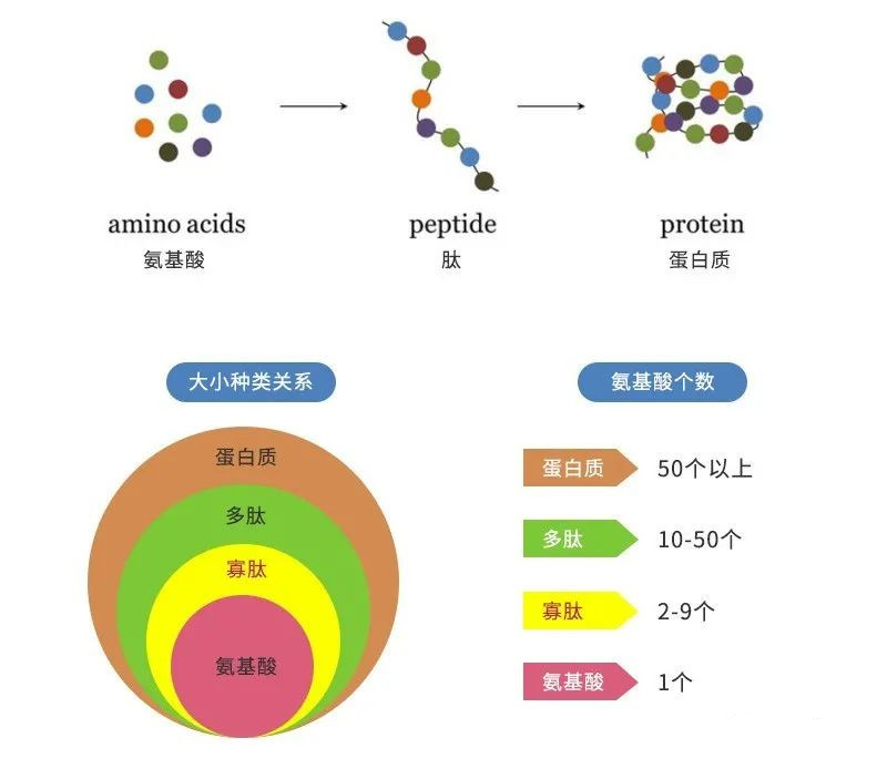 微信圖片_20221110094040.jpg